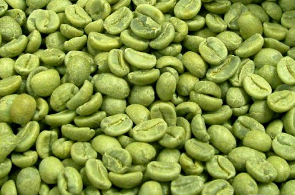 What Is Green Coffee Extract?